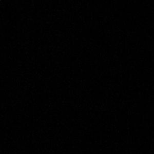 Meet your Posher, Macie